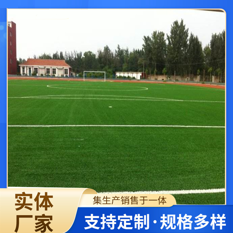 葫芦岛市塑胶跑道人造草坪 - 推荐